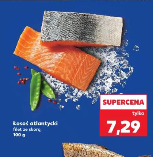 łosoś filet