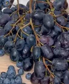 winogrona ciemne