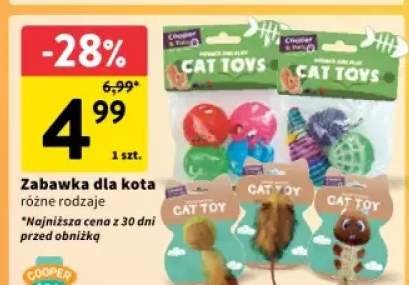 zabawka dla kota