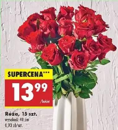 róże bukiet