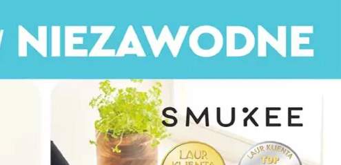 czyścik
