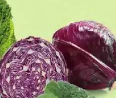 kapusta czerwona