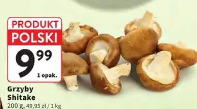 Grzyby Shitake