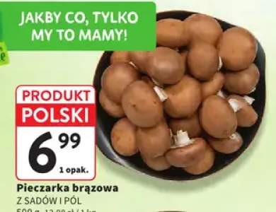 Pieczarka brązowa Z Sadów I Pól