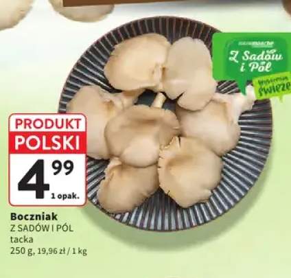 Boczniaki Z Sadów I Pól tacka