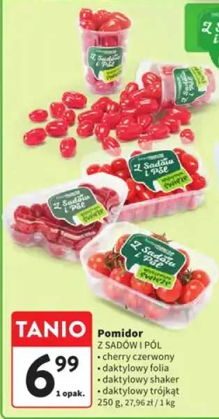 Pomidor daktylowy trójkąt