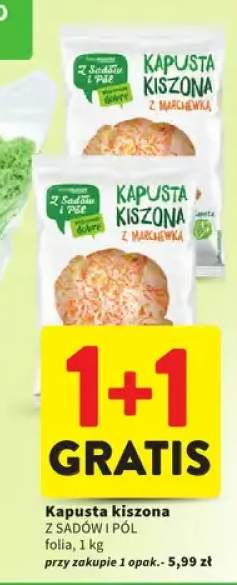 Kapusta kiszona z marchewką z Sadów i Pól folia