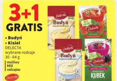 Budyń wybrane rodzaje