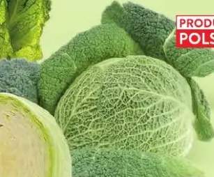 Kapusta włoska luz