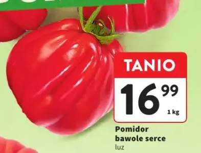 Pomidor bawole serce