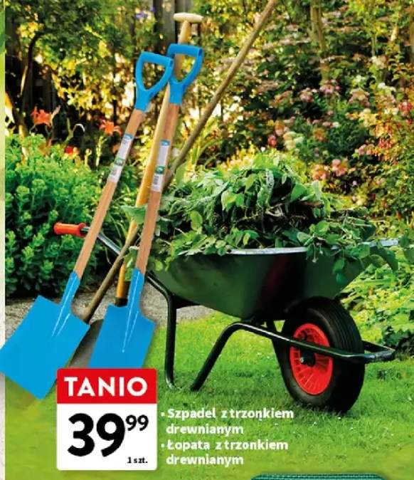 Szpadel z trzonkiem drewnianym, łopatą z trzonkiem drewnianym