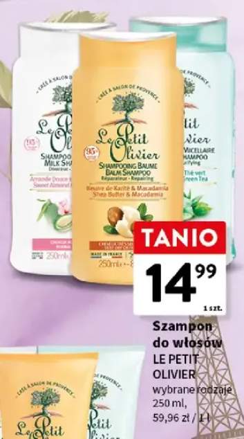 Szampon do włosów wybrane rodzaje