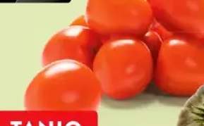 Pomidor śliwkowy luz