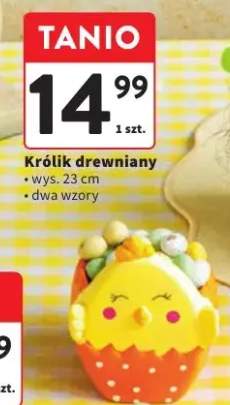 Królik drewniany