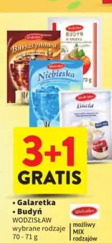 Budyń wybrane rodzaje