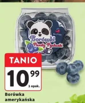 Borówka amerykańska