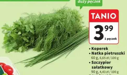 Natka pietruszki Z SADÓW I PÓL