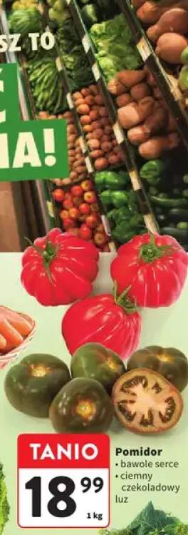 Pomidor bawole serce ciemny czekoladowy luz