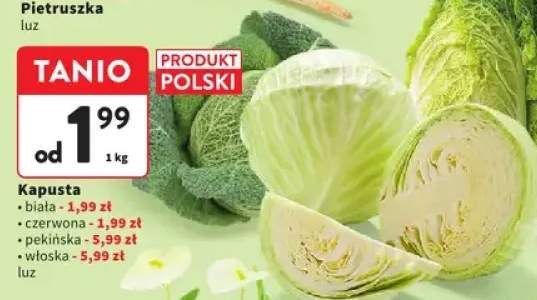 Kapusta pekińska luz