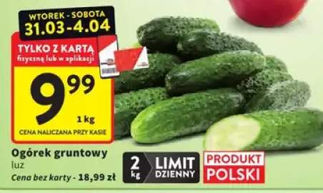 Ogórek gruntowy luz