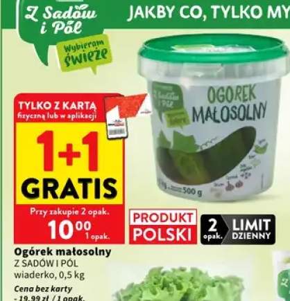 Ogórek małosolny Z Sadów I Pól wiaderko