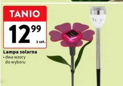 Lampa solarna dwa wzory do wyboru