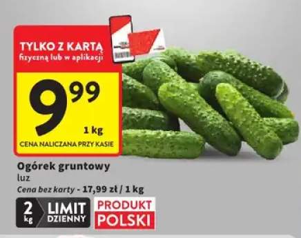 Ogórek gruntowy luz