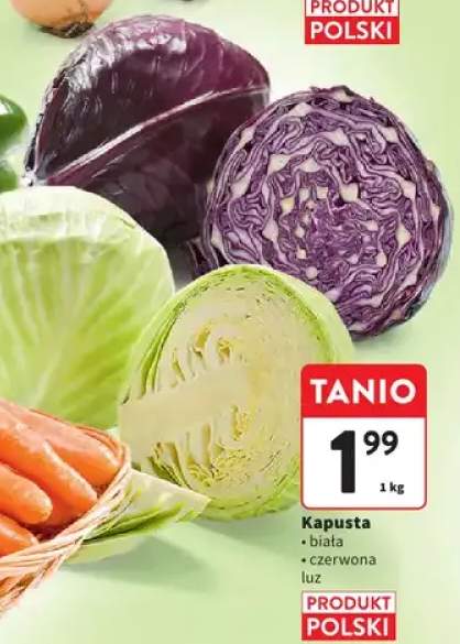 Kapusta czerwona luz