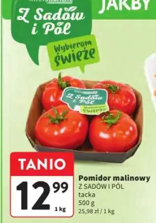 Pomidor malinowy