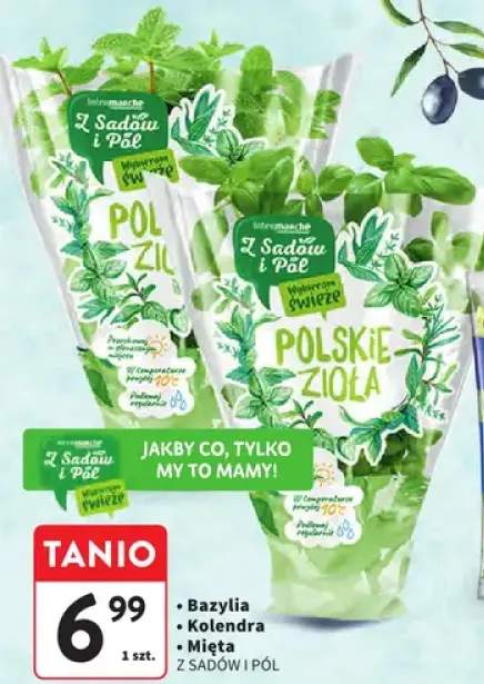 Zioła polskie mięta