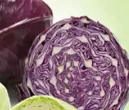 Kapusta czerwona luz
