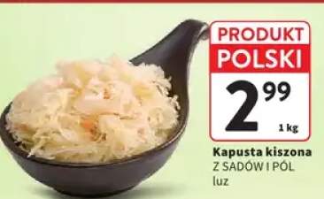 Kapusta kiszona z sadów i pól