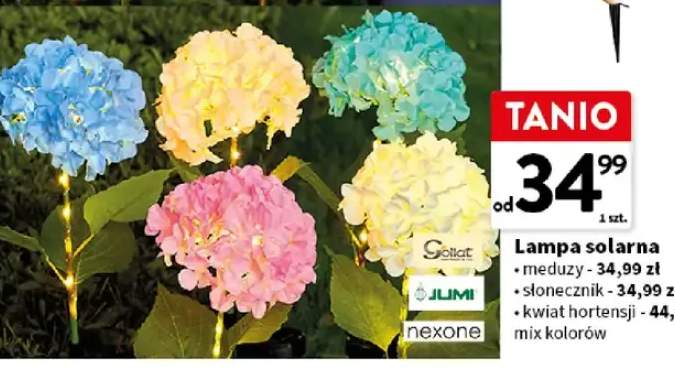 Lampa solarna kwiat hortensji mix kolorów