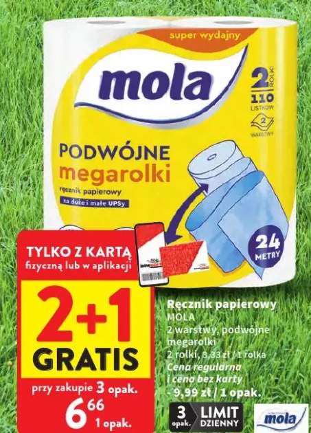 Ręcznik papierowy Mola podwójne megarolki 2-warstwowy