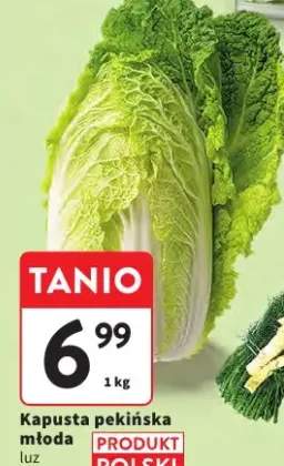 Kapusta pekińska młoda luz