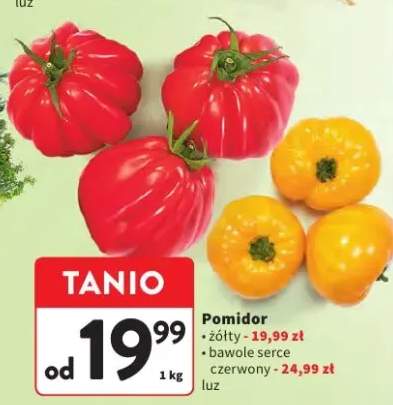 Pomidor żółty luz