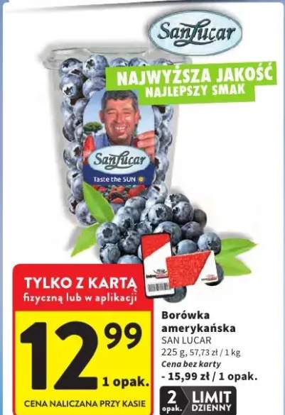 Borówka amerykańska SanLucar