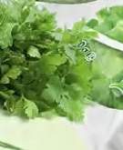 Natka pietruszki Z Sadów i Pól duży pęczek