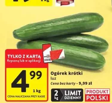 Ogórek krótki luz