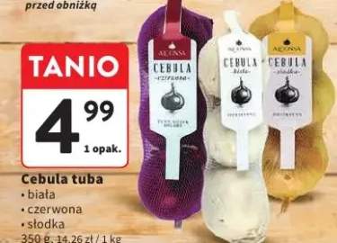 Cebula tuba Alcensa słodka