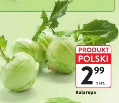 Kalarepa polska