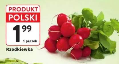 Rzodkiewka polska