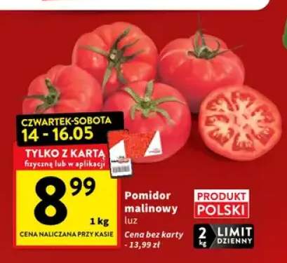 Pomidor malinowy luz polski