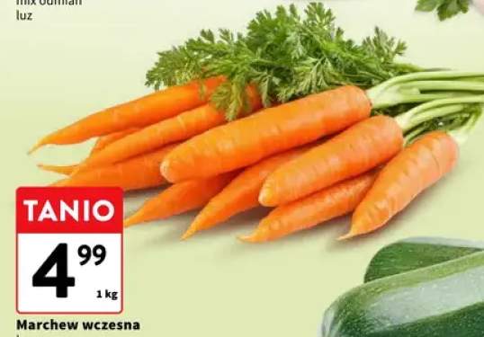 Cukinia zielona luz
