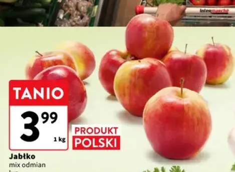 Jabłko mix odmian polskie