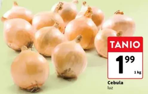 Cebula luz