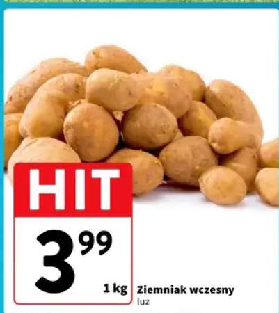 Ziemniak wczesny luz