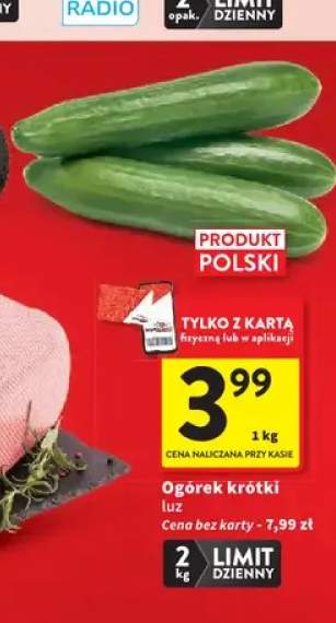 Ogórek krótki luz polski