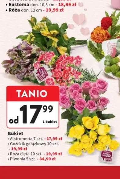 Bukiet Goździk gałązkowy 10szt.