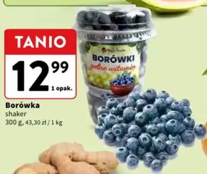 Borówka shaker